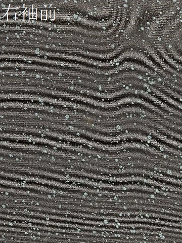 平和屋着物＃羽織　ろうけつ染　枝梅文　正絹　逸品　CABI9308ua