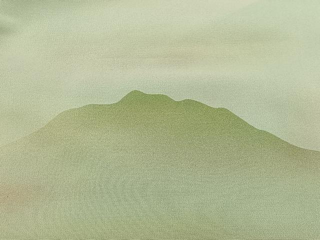 平和屋着物＃道中着　遠山文　暈し染め　仮絵羽　正絹　逸品　CABI9312ua