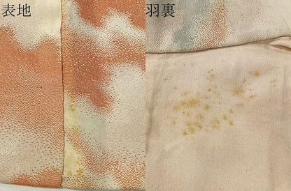 平和屋着物＃羽織　寿光織　雲取り文　金糸　正絹　逸品　CABI9335ua