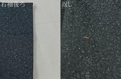 平和屋着物＃羽織　霞文　正絹　逸品　CABI9413ua
