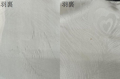 平和屋着物＃羽織　寿光織　孔雀羽花文　黒地　銀糸　正絹　逸品　CABI9563ua