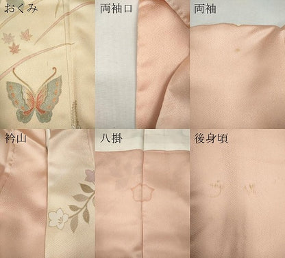 平和屋着物●訪問着　花蝶文　暈し染め　金銀彩　ロング丈　正絹　逸品　CABI9656ut