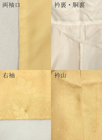 平和屋着物●上質な色無地　舞葉地紋　杏色　正絹　逸品　CABI9675ut