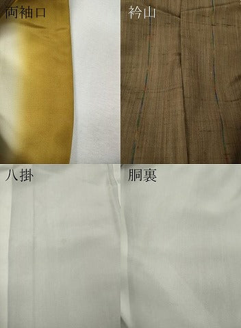 平和屋着物●上質な紬　間道　正絹　逸品　CABI9696ut