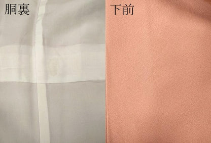 平和屋着物●訪問着　籬露芝花文　暈し染め　金彩　正絹　逸品　CABI9700ut