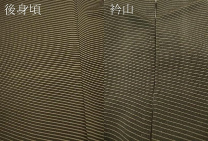 平和屋着物●訪問着　斜線霞文　鬼しぼ縮緬　正絹　逸品　CABI9729ut