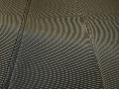平和屋着物●訪問着　斜線霞文　鬼しぼ縮緬　正絹　逸品　CABI9729ut