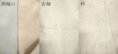平和屋着物●豪華振袖　舞桜文　暈し染め　銀通し地　正絹　逸品　CABI9753ut