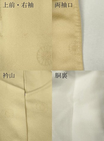 平和屋着物●上質な色無地　舞花地紋　蜂蜜色　ますいわ屋扱い　正絹　逸品　CABI9783ut