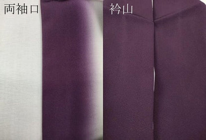 平和屋着物●訪問着　竹屋町刺繍　花蝶丸文　正絹　逸品　CABI9842ut
