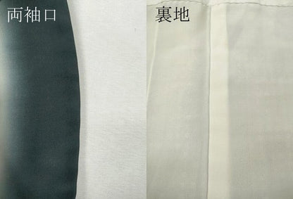 平和屋着物●色留訪問着　型染め　舞菊文　黒地　正絹　逸品　CABI9860ut
