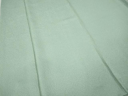 平和屋着物●上質な色無地　紋意匠　白緑色　正絹　逸品　CABI9883ut