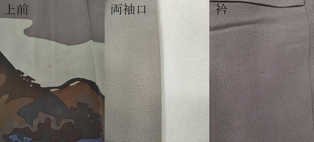 平和屋着物●訪問着　作家物　風景文　正絹　逸品　CABI9906ut
