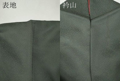 平和屋着物●色留訪問着　刺繍　舞蝶花鳥文　暈し染め　金彩　ますいわ屋扱い　正絹　逸品　CABI9918ut