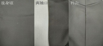 平和屋着物●豪華色留袖　刺繍　屏風草花文　金彩　ますいわ屋扱い　正絹　逸品　CABI9919ut