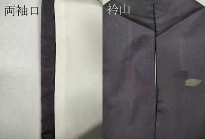 平和屋着物●訪問着　本場染大島紬　竹屋町刺繍　舞花びら　正絹　逸品　CABI9927ut