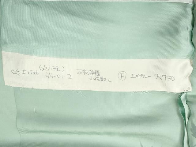 平和屋着物●お引きずり・お引き摺り・引き振袖　手描き　枝花文　仮絵羽　逸品　未使用　CABI9933ut