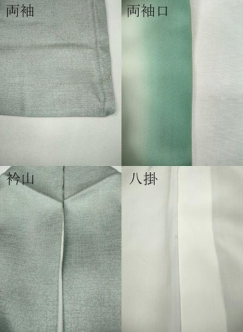 平和屋着物●訪問着　舞花文　シルエット　暈し染め　金彩　正絹　逸品　CABI9953ut