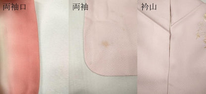 平和屋着物●訪問着　御所車花蝶文　暈し染め　金銀彩　正絹　逸品　CABI9966ut