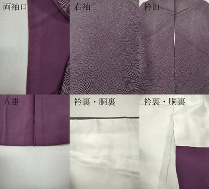 平和屋着物●江戸小紋　鮫小紋柄　正絹　逸品　CABI9971ut