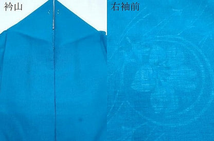 平和屋着物＊夏物　訪問着　紗　溢れ松葉花文　洗える着物　CABJ0803th