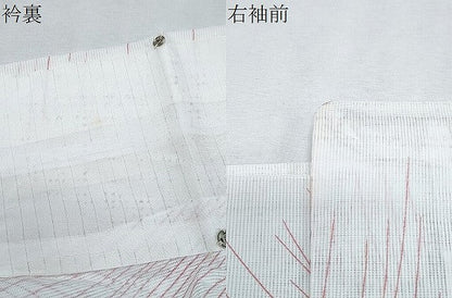 平和屋着物＊夏物　小紋　絽　舞蝶文　洗える着物　CABJ0812th