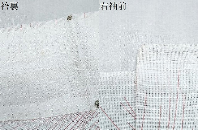 平和屋着物＊夏物　小紋　絽　舞蝶文　洗える着物　CABJ0812th