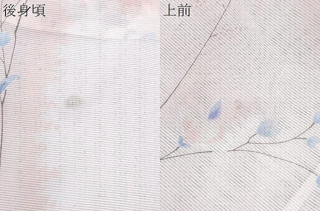 平和屋着物＊夏物　小紋　絽　枝花文　洗える着物　CABJ0819th