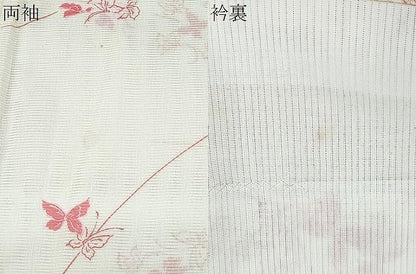 平和屋着物＊夏物　小紋　絽　舞蝶草葉文　洗える着物　CABJ0820th