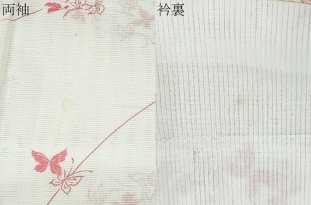 平和屋着物＊夏物　小紋　絽　舞蝶草葉文　洗える着物　CABJ0820th
