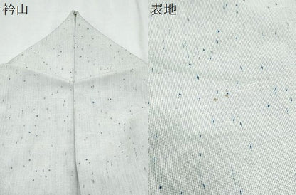 平和屋着物＊夏物　訪問着　紗紬　草花文　正絹　逸品　CABJ0839th