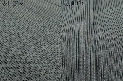 平和屋着物＊夏物　男性　行灯袴　縞　正絹　逸品　CABJ0887th