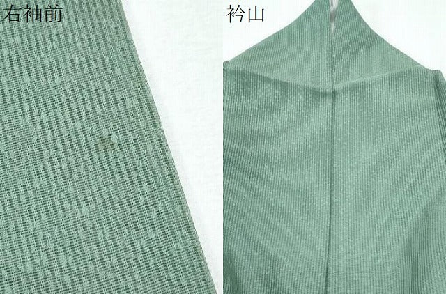 平和屋着物＊夏物　訪問着　縦絽　刺繍　草葉文　金銀彩　正絹　逸品　CABJ0892th
