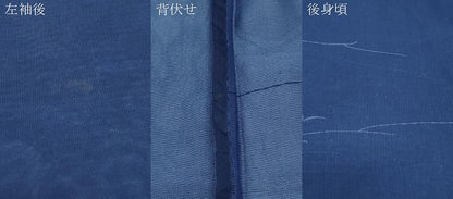 平和屋着物＊夏物　小紋　紗　草葉文　正絹　逸品　CABJ0896th