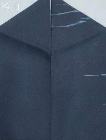 平和屋着物＊夏物　紗紬　吉祥文　正絹　逸品　CABJ0901th
