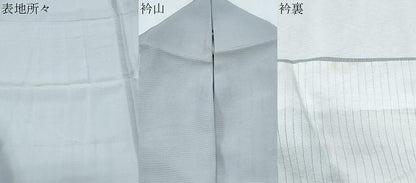 平和屋着物＊夏物　訪問着　絽　草花文　金彩　ロング丈　正絹　逸品　CABJ0903th