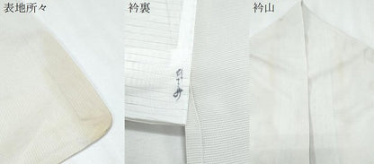 平和屋着物＊夏物　訪問着　友禅　絽　草花文　正絹　逸品　CABJ0910th