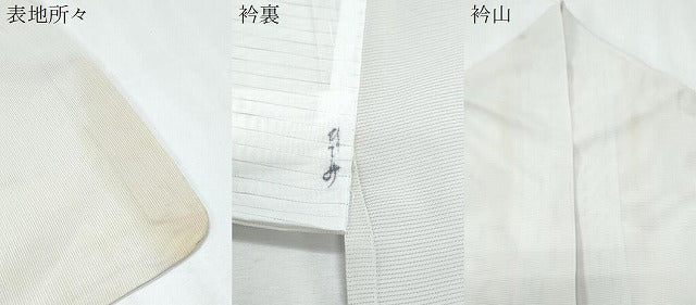 平和屋着物＊夏物　訪問着　友禅　絽　草花文　正絹　逸品　CABJ0910th