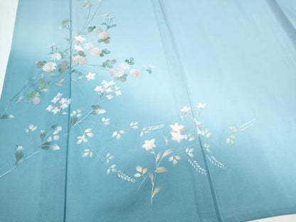 平和屋着物＊夏物　訪問着　絽　草花文　暈し染め　金銀彩　正絹　逸品　CABJ0920th