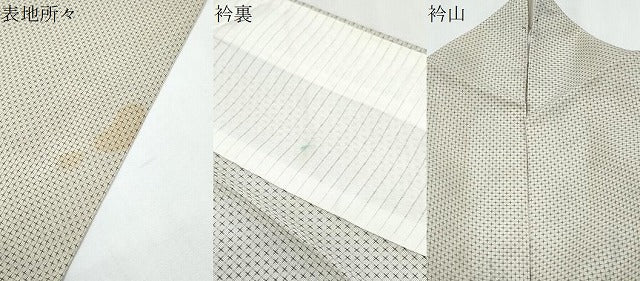 平和屋着物＊夏物　小紋　紗紬　手描き　笹竹文　正絹　逸品　CABJ0925th