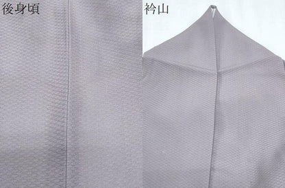 平和屋着物＊夏物　訪問着　友禅　菱文紗　草花文　正絹　逸品　CABJ0930th