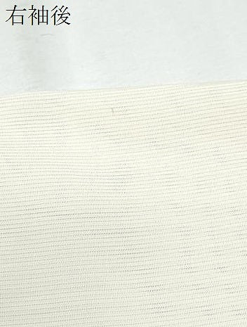平和屋着物＊夏物　小紋　手描き　絽　枝花文　正絹　逸品　CABJ0936th