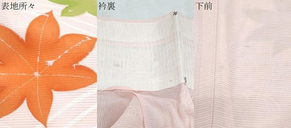 平和屋着物＊夏物　訪問着　絽　流水楓文　銀彩　正絹　逸品　CABJ0945th