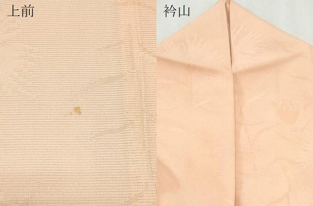 平和屋着物＊夏物　色無地　絽　草花紋紗　宍色　正絹　逸品　CABJ0950th