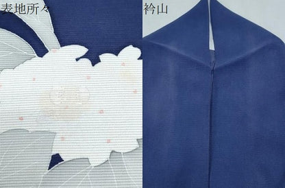平和屋着物＊夏物　訪問着　絽　刺繍　紫陽花　正絹　逸品　CABJ0957th