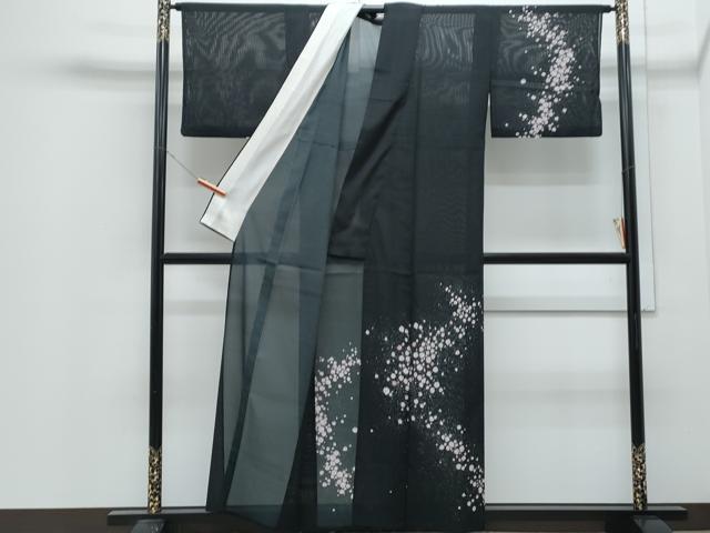 平和屋着物＊夏物　訪問着　絽　霞文　黒地　洗える着物　CABJ0959th