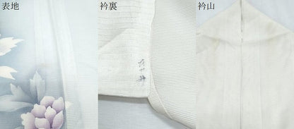 平和屋着物＊夏物　訪問着　絽　草花文　暈し染め　正絹　逸品　CABJ0960th