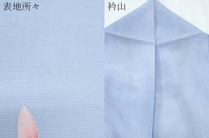 平和屋着物＊夏物　訪問着　絽　流水花文　暈し染め　正絹　逸品　CABJ0961th