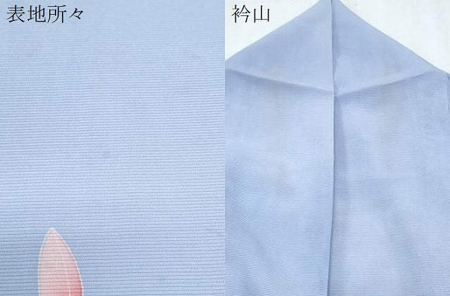 平和屋着物＊夏物　訪問着　絽　流水花文　暈し染め　正絹　逸品　CABJ0961th