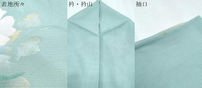平和屋着物＊夏物　訪問着　絽　草花シルエット　暈し染め　金銀彩　正絹　逸品　CABJ0963th
